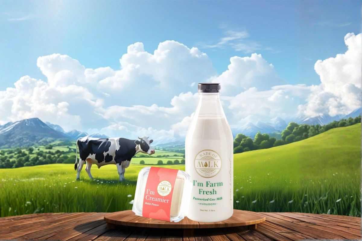 From Farm to Table: The Journey of Pure, Organic Dairy at Made of Milk