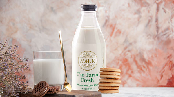 A Dairy Odyssey: Exploring the World of Milk Cultures