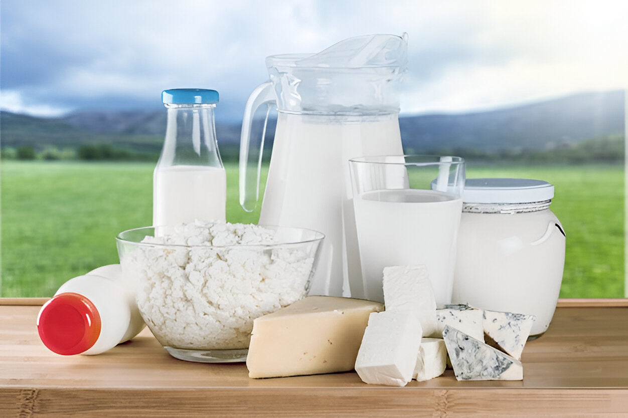 From Tradition to Taste: The Pure Goodness of Made of Milk’s Dairy Delights