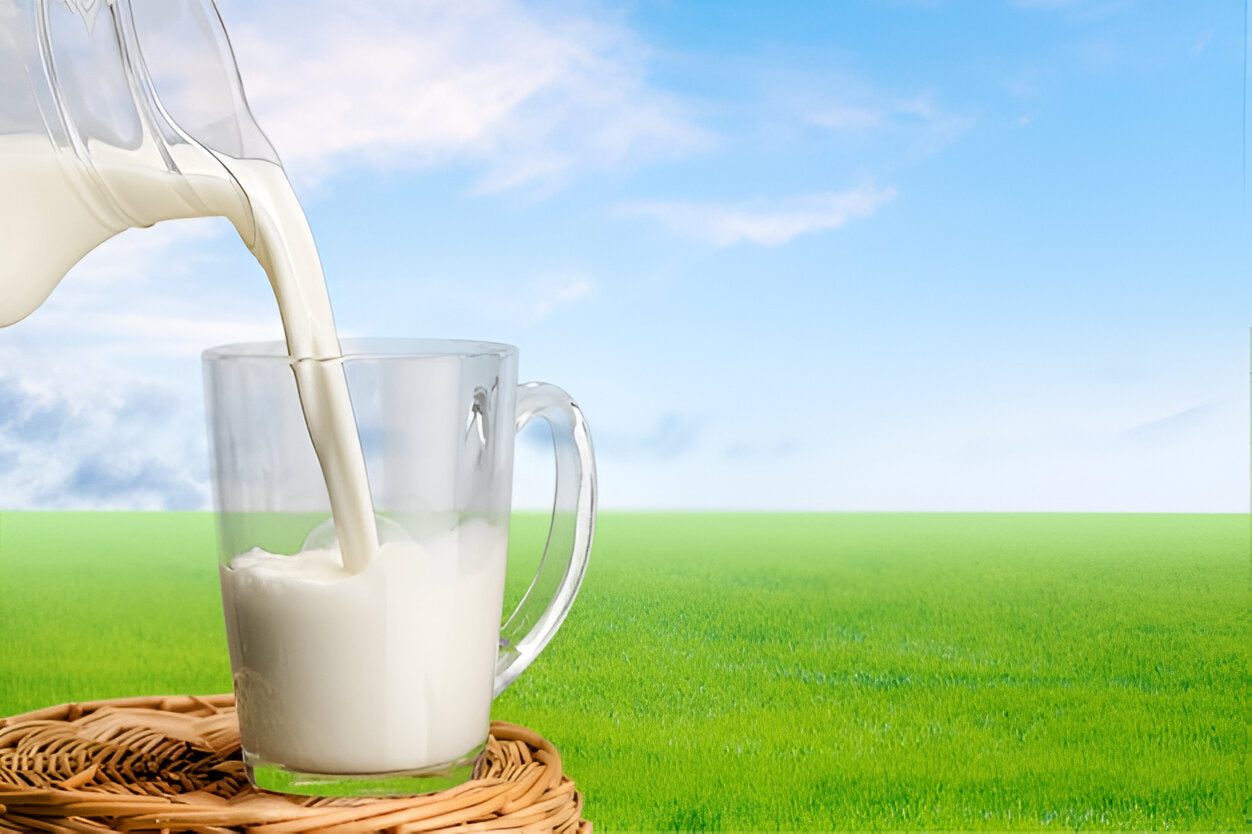 Fuel Your Workout: Top 5 Pre-Workout Foods for a Healthy Body